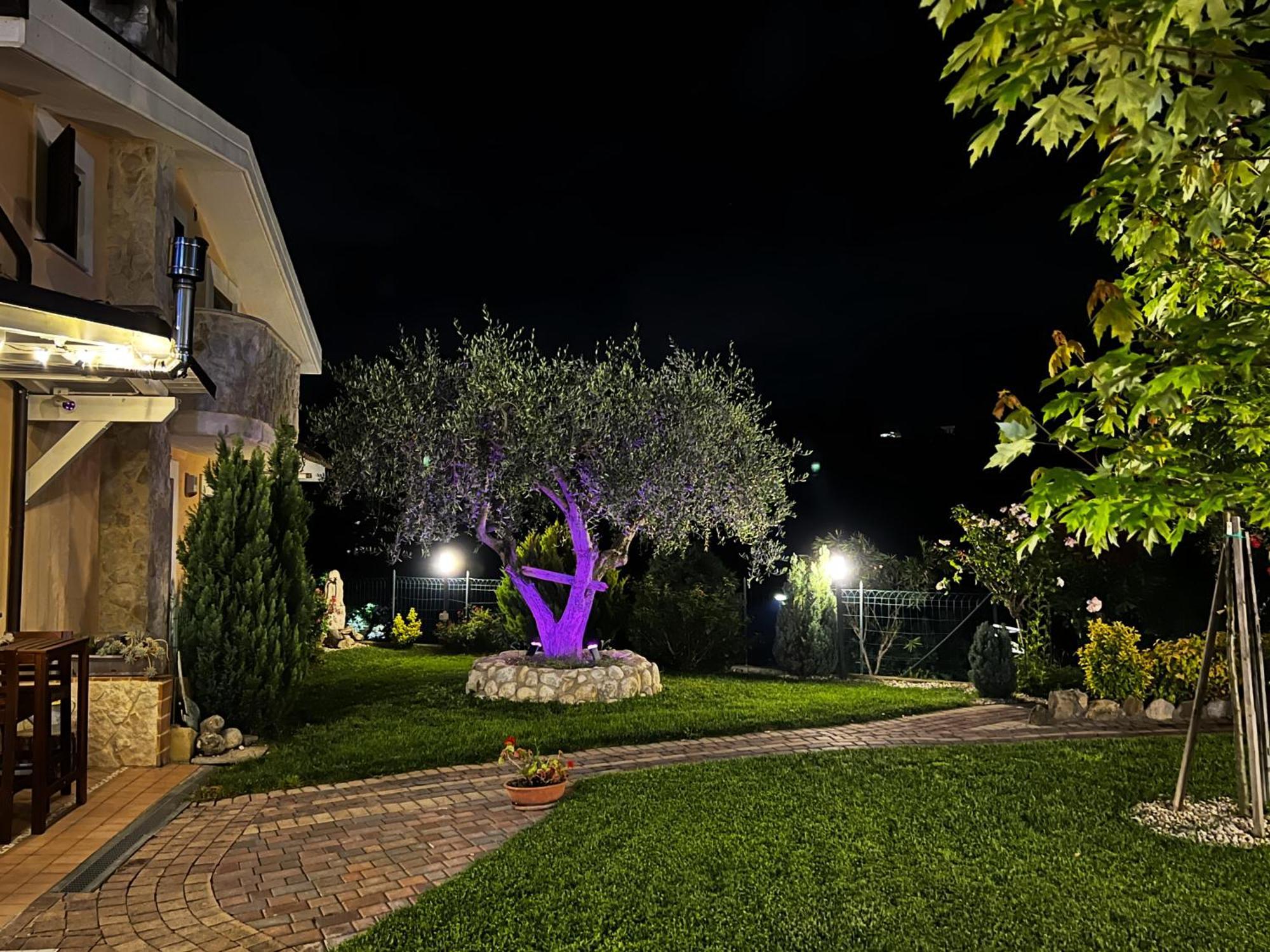 Peperosa In Collina B&B 佩斯卡拉 外观 照片